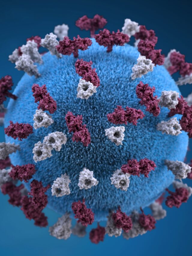 Stories 1 Disease 'X': A Potential Threat to Millions