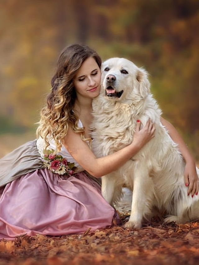 Stories 5 The 10 Quietest Dog Breeds for Peaceful Living