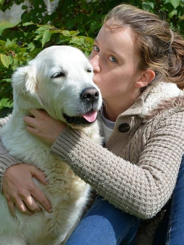 Top 9 Dog Breeds for Therapy and Emotional Support