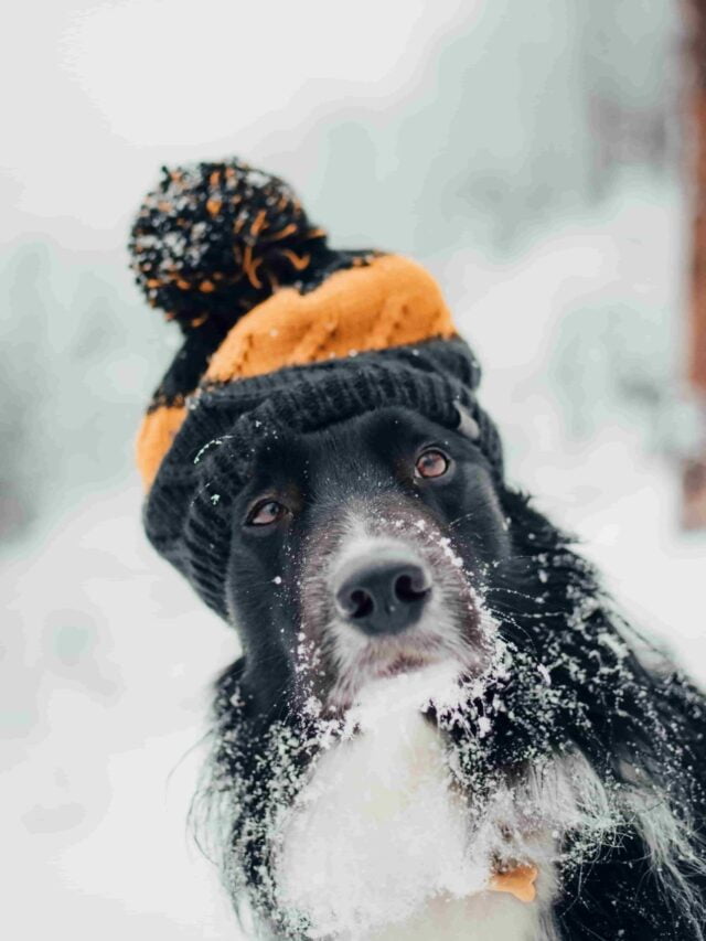 Stories 1 tadeusz-lakota-eV_iPlkHwgQ-unsplash-min
